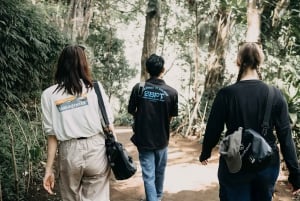 Munduk: Caminhada na selva do Lago Gémeo, Templo Ulun Danu e Cascata