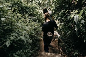 Munduk: Caminhada na selva do Lago Gémeo, Templo Ulun Danu e Cascata