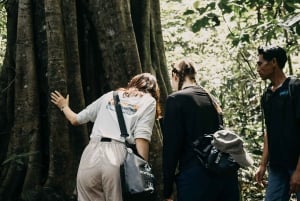 Munduk: Caminhada na selva do Lago Gémeo, Templo Ulun Danu e Cascata