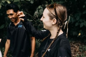 Munduk: Caminhada na selva do Lago Gémeo, Templo Ulun Danu e Cascata