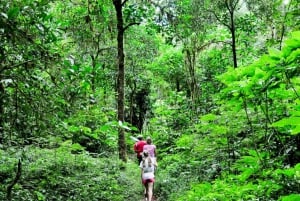 Munduk: Twin Lakes Jungle Hike with Lake Canoe and Waterfall