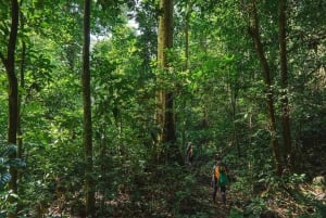 Munduk: Twin Lakes Jungle Hike with Lake Canoe and Waterfall