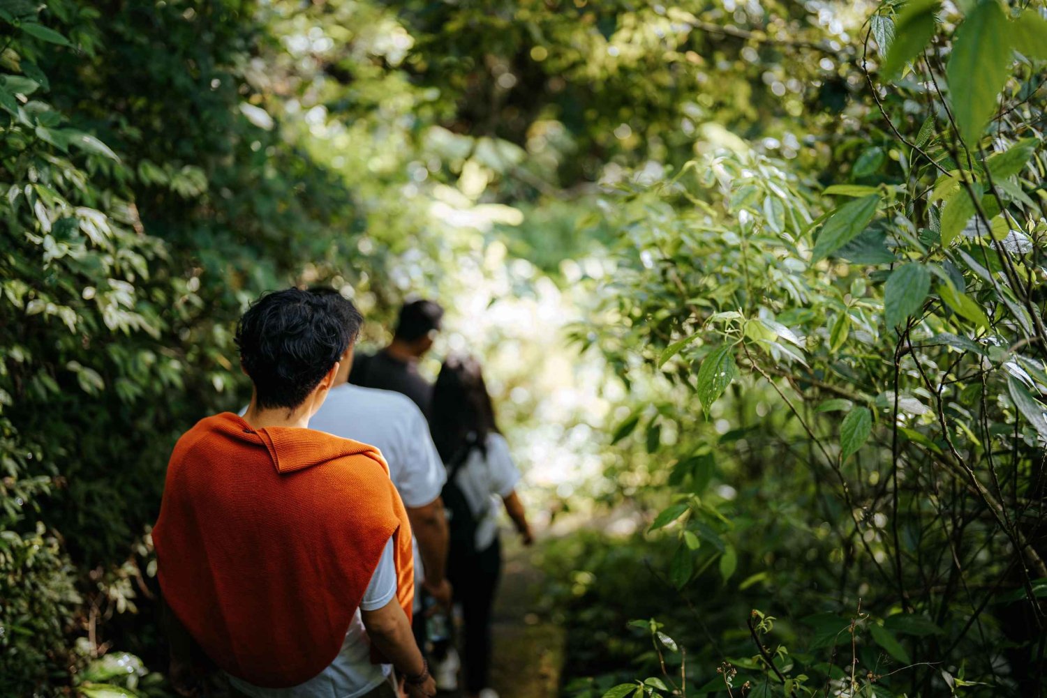 Munduk: Trekking with Twin Lake View, Temple, and Waterfall