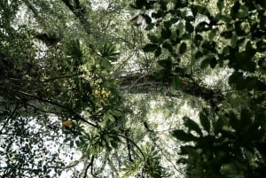 Munduk: Trekking with Twin Lake View, Temple, and Waterfall