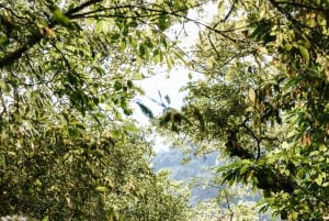 Munduk: Trekking with Twin Lake View, Temple, and Waterfall