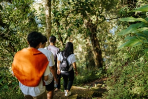 Munduk: Trekking with Twin Lake View, Temple, and Waterfall