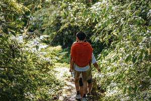Munduk: Trekking with Twin Lake View, Temple, and Waterfall