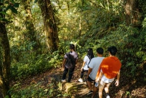 Munduk: Trekking with Twin Lake View, Temple, and Waterfall