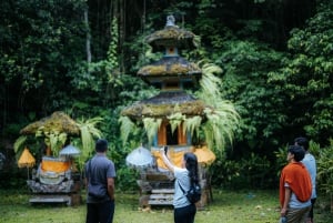 Munduk: Trekking with Twin Lake View, Temple, and Waterfall