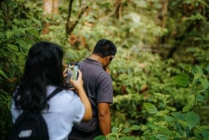 Munduk: Trekking with Twin Lake View, Temple, and Waterfall