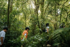 Munduk: Trekking with Twin Lake View, Temple, and Waterfall