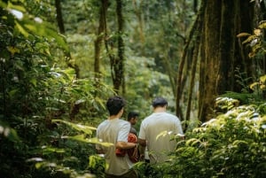 Munduk: Trekking with Twin Lake View, Temple, and Waterfall