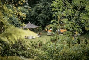 Munduk: Trekking with Twin Lake View, Temple, and Waterfall