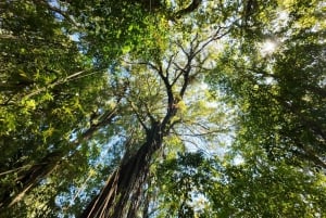 Munduk: Twin Lakes Jungle Hike with Lake Canoe and Waterfall