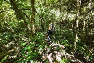 Munduk: Twin Lakes Jungle Hike with Lake Canoe and Waterfall