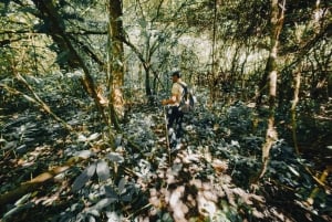 Munduk: Twin Lakes Jungle Hike with Lake Canoe and Waterfall