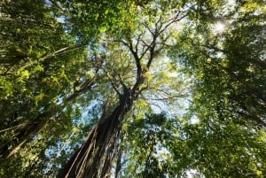 Munduk : Randonnée dans la jungle des lacs jumeaux avec canoë et chute d'eau