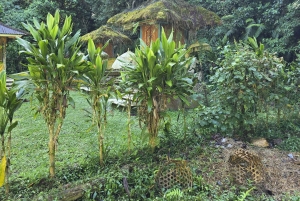 Munduk : Randonnée dans la jungle des lacs jumeaux avec canoë et chute d'eau