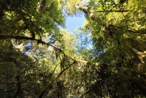 Munduk : Randonnée dans la jungle des lacs jumeaux avec canoë et chute d'eau