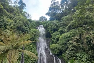 Munduk : Randonnée dans la jungle des lacs jumeaux avec canoë et chute d'eau