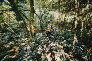 Munduk : Randonnée dans la jungle des lacs jumeaux avec canoë et chute d'eau