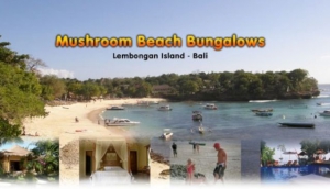 Mushroom Beach Bungalows Lembongan Bali