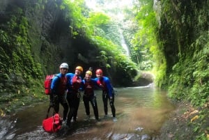 Bali: Alam Canyon The Natural Canyoning Adventure