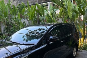 Ngurah Rai Bali Airport: Airport Private Transfer