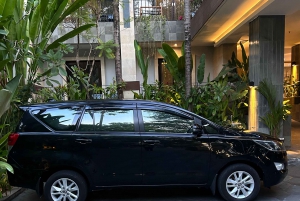 Ngurah Rai Bali Airport: Airport Private Transfer