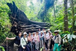 Nort Bali/Munduk:Twin Lakes Jungle Trekking&Canoing