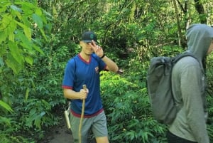 Nort Bali/Munduk:Twin Lakes Jungle Trekking&Canoing