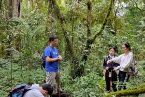 Nort Bali/Munduk:Twin Lakes Jungle Trekking&Canoing