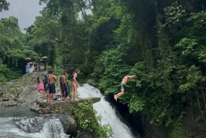 Nord di Bali: biglietti per le attività ludiche delle cascate di Aling-Aling