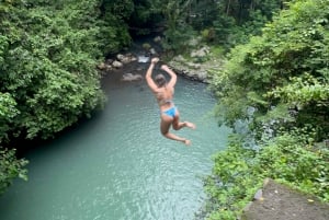 Nord Bali: Aling-Aling Wasserfall Spaß Aktivitäten Tickets