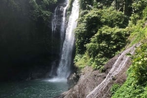 Nord de Bali : Billets d'activités ludiques pour les chutes d'eau d'Aling-Aling