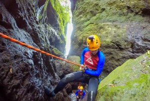 Bali: Canyoningäventyr vid Aling-vattenfallet