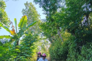 Nord-Bali: ATV-tur, jungletrek og vandfaldsspring