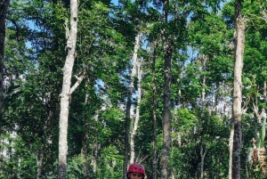 Nord-Bali: ATV-tur, jungletrek og vandfaldsspring