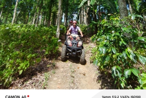 Nord-Bali: ATV-tur, jungletrek og vandfaldsspring