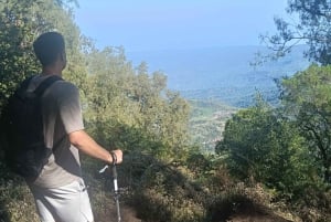 North Bali Authentic: Off-the-Beaten-Path Experience