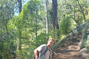 North Bali Authentic: Off-the-Beaten-Path Experience