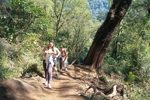 North Bali Authentic: Off-the-Beaten-Path Experience