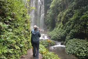 North Bali Authentic: Off-the-Beaten-Path Experience