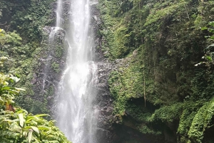 North Bali Authentic: Off-the-Beaten-Path Experience