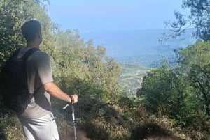 Aito Pohjois-Bali: elämys sivussa