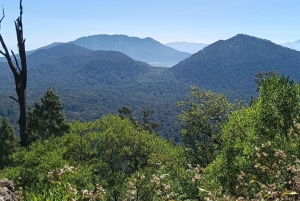 Aito Pohjois-Bali: elämys sivussa