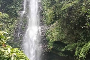 Aito Pohjois-Bali: elämys sivussa