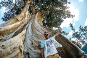 North Bali: Banyumala Waterfall and Ulun Danu Beratan Temple