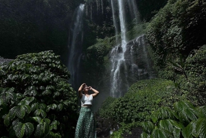 Pohjois-Bali : Sekumpul & Fiji Waterfall Trekking Real Tickets