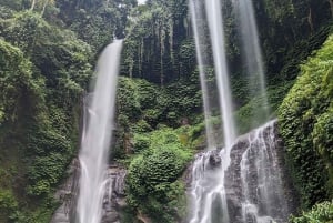 Nordbali: Sekumpul & Fiji Waterfall Trekking Rigtige billetter